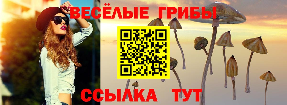 Псилоцибиновые грибы GOLDEN TEACHER Сарапул